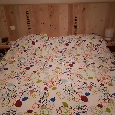 Mediterranee * سيجيان