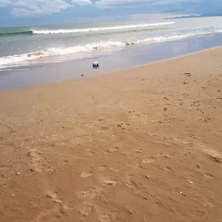 Mediterranee فيلة *