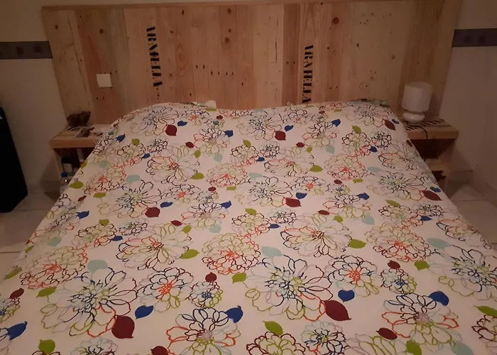 Mediterranee * سيجيان