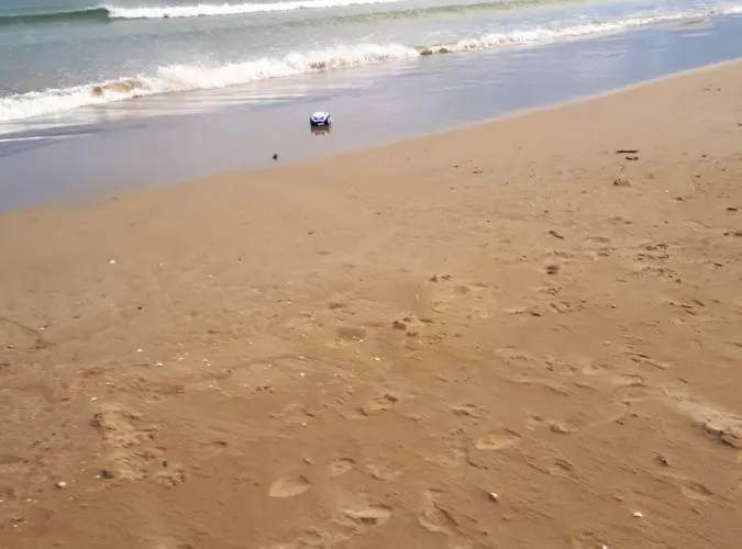 Mediterranee فيلة *